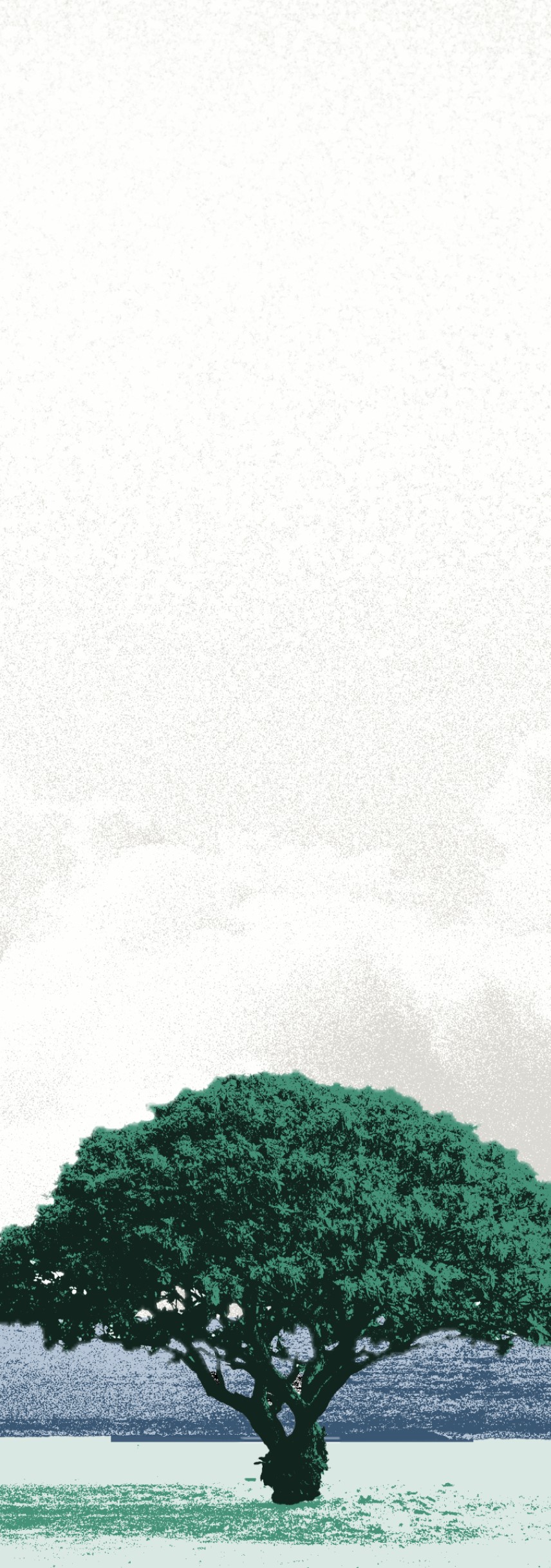 Section Background