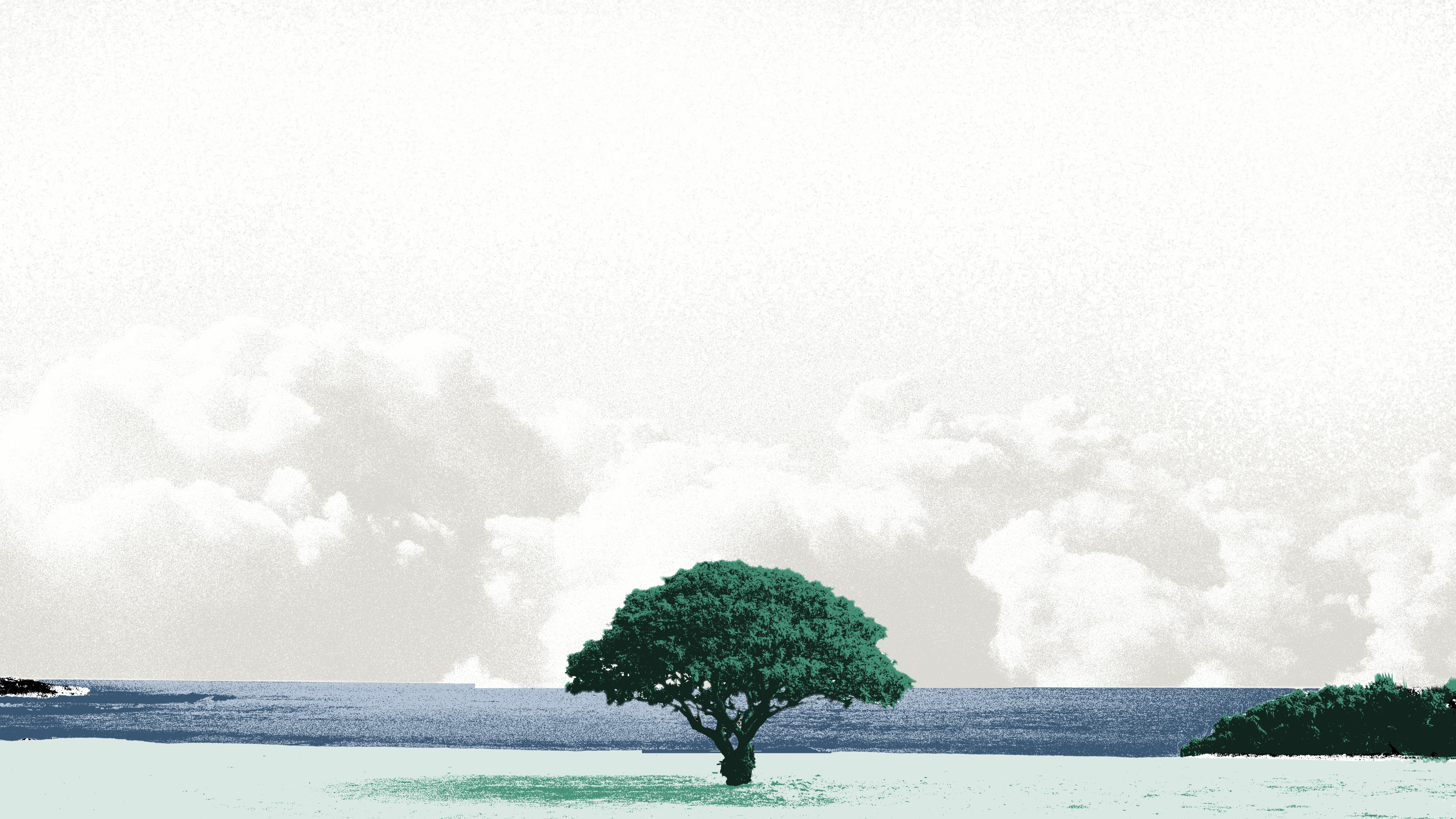 Section Background