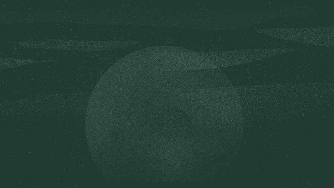 Section Background